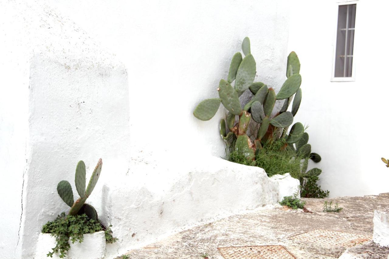 Monolocale Ilporticciolovacanze Villanova di Ostuni Extérieur photo